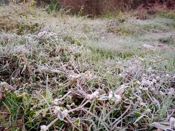 Sehore Weather: सीहोर में तापमान और गिरने से बढ़ी ठिठुरन, जानिए अगले 3 दिन कैसा रहेगा मौसम Sehore Madhya Pradesh Severe cold day temperature on Monday was 1.9 degree celcius weather remain same next 3 days ANN Sehore Weather: सीहोर में तापमान और गिरने से बढ़ी ठिठुरन, जानिए अगले 3 दिन कैसा रहेगा मौसम