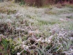 Sehore Weather: सीहोर में तापमान और गिरने से बढ़ी ठिठुरन, जानिए अगले 3 दिन कैसा रहेगा मौसम