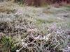 Sehore Weather: सीहोर में तापमान और गिरने से बढ़ी ठिठुरन, जानिए अगले 3 दिन कैसा रहेगा मौसम