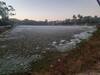 Madhya Pradesh Weather: जबलपुर सर्द हवाओं और शीत लहर की चपेट में, हिल स्टेशन पचमढ़ी में जमने वाला है पानी
