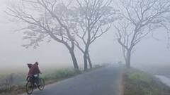 Winter Update: কোনও জেলায় ৮ ডিগ্রি, কোথাও ১০, রাজ্যজুড়ে জাঁকিয়ে শীত| Bangla News