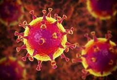 Corona : ওমিক্রন আতঙ্কের আবহে রাজধানীতে রেকর্ড ভাঙল করোনায় দৈনিক সংক্রমণ| Bangla News