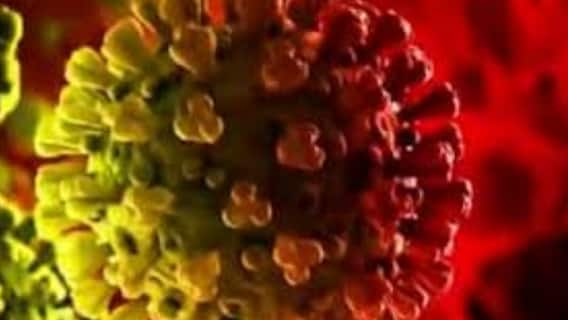 Omicron: কলকাতায় আয়ারল্যান্ড ফেরত আরও একজনকে ঘিরে ওমিক্রন-সন্দেহ। Bangla News