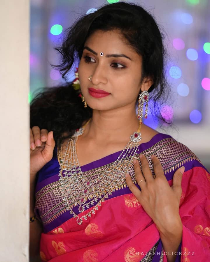 అభిషేకం సీరియల్ తో తెలుగు బుల్లితెరపై ఎంట్రీ ఇచ్చిన విష్ణుప్రియ కుంకుమ పువ్వు, ఇద్దరమ్మాయిలు,నువ్వే కావాలి వంటి సీరియల్స్ లో నటించింది. ప్రస్తుతం జానకి కలగనలేదు సీరియల్ లో నటనకు ప్రశంసలందుకుంటోంది.