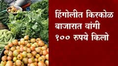 Vegetable Hike Maharashtra :टोमॅटो आणि कांद्यानंतर आता वांगंही महागलं, प्रतिकिलो 100 रुपयावर