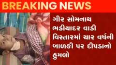 ગીર સોમનાથઃ ચાર વર્ષની બાળકી પર દીપડાએ કર્યો હુમલો, બાળકીને ગંભીર ઈજા