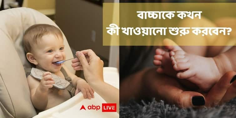 Child Diet Plan How to introduce fish, egg, chicken in infant's diet, importance of breast feeding ABP Exclusive Child Diet Plan : বাচ্চাকে বাইরের খাবার খাওয়ানো শুরু করবেন কবে? মাছ-মাংস না ডিম কোনটা আগে?