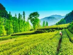 New Year 2022: नए साल में हिल स्टेशन और Beach की जगह इन Places का करें चुनाव, देखें लिस्ट