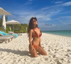 GoodBye 2021: Disha Patani से लेकर Priyanka Chopra-Kiara Advani तक, 2021 में छाए रहे इन बॉलीवुड हसीनाओं के बिकिनी लुक्स