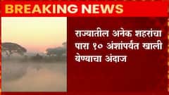 Winter : उत्तर महाराष्ट्रातील अनेक भागांचं तापमान तर 8 ते 9 अंशांपर्यंत खाली : Abp Majha