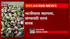 Vegetable Rates Today: भाजीपाला महागला,वांग्याचंही दराचं शतक : Abp Majha
