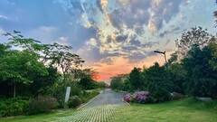 MS Dhoni Farmhouse: ਰਾਂਚੀ ਦੇ ਇਸ ਆਲੀਸ਼ਾਨ ਫਾਰਮ ਹਾਊਸ 'ਚ ਰਹਿੰਦੇ ਮਹਿੰਦਰ ਸਿੰਘ ਧੋਨੀ, ਕੀਮਤ ਜਾਣ ਕੇ ਉੱਡ ਜਾਣਗੇ ਹੋਸ਼