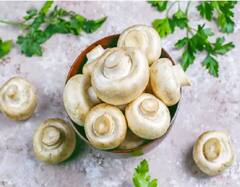 Health Tips : ਮਾਈਕ੍ਰੋਵੇਵ 'ਚ ਇਨ੍ਹਾਂ ਚੀਜ਼ਾਂ ਨੂੰ ਗਰਮ ਕਰਨਾ ਨਾ ਭੁੱਲੋ, ਹੋ ਸਕਦੈ ਵੱਡਾ ਨੁਕਸਾਨ