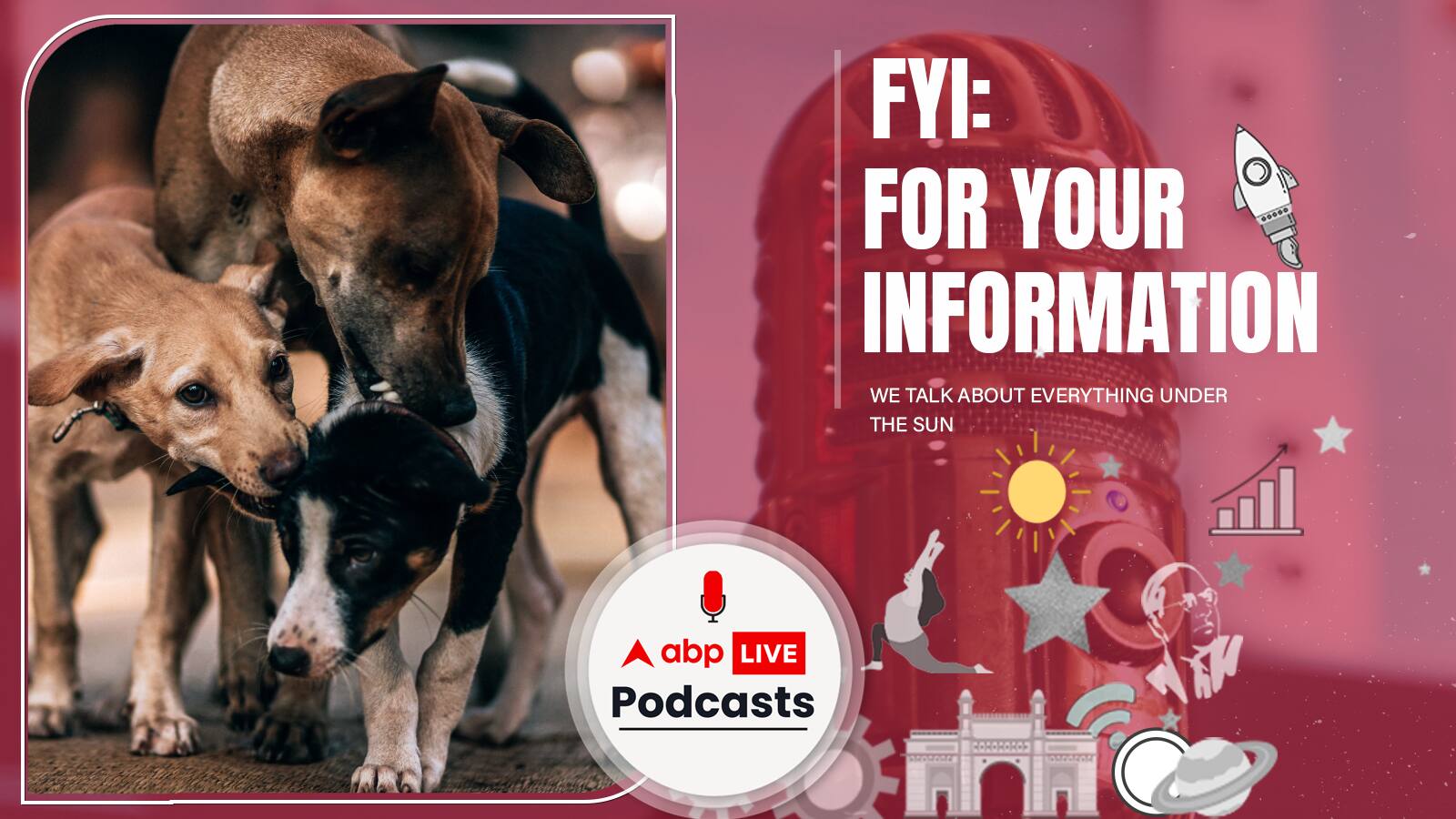 Petting Stray Dogs | क्या आप भी सड़क पर कुत्तों को पुचकारती हैं, सावधान हो जाएं, उन्हें हो सकती है ये बीमारी | FYI | Ep. 188