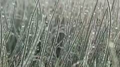 ઉત્તર ભારતમાં હાડ થીજવતી ઠંડીના કારણે જનજીવનને માઠી અસર, જુઓ ગુજરાતી ન્યુઝ