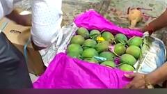 Navi Mumbai : कोकणच्या हापूस आंब्याची पहिली पेटी नवी मुंबईच्या कृषी उत्पन्न बाजार समितीमध्ये : Abp Majha