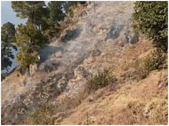 Uttarakhand News: केदारघाटी के जंगलों में लगी आग, ग्रामीणों बोले- वन विभाग नहीं ले रहा कोई सुध