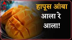 Alphonso Mango at APMC : हापूस आंबा एपीएमसीत दाखल, एका डझनला 4 ते 5 हजार रुपये दर