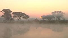 Maharashtra Winter :भंडारा जिल्ह्यात पारा घसरला,9 अंश तापमानाची नोंद : Abp Majha