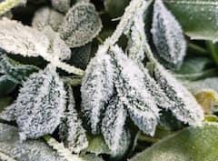 Photos: માઉન્ટ આબુમાં જામ્યો બરફ, પ્રવાસીઓએ કર્યુ આમ