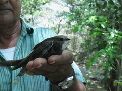 Jodhpur News: जोधपुर में रिटायर्ड अध्यापक ने कायम की मिसाल, चट्टानों का सीना फाड़ कर बनाई फूलों की बगिया, देखिए तस्वीरें