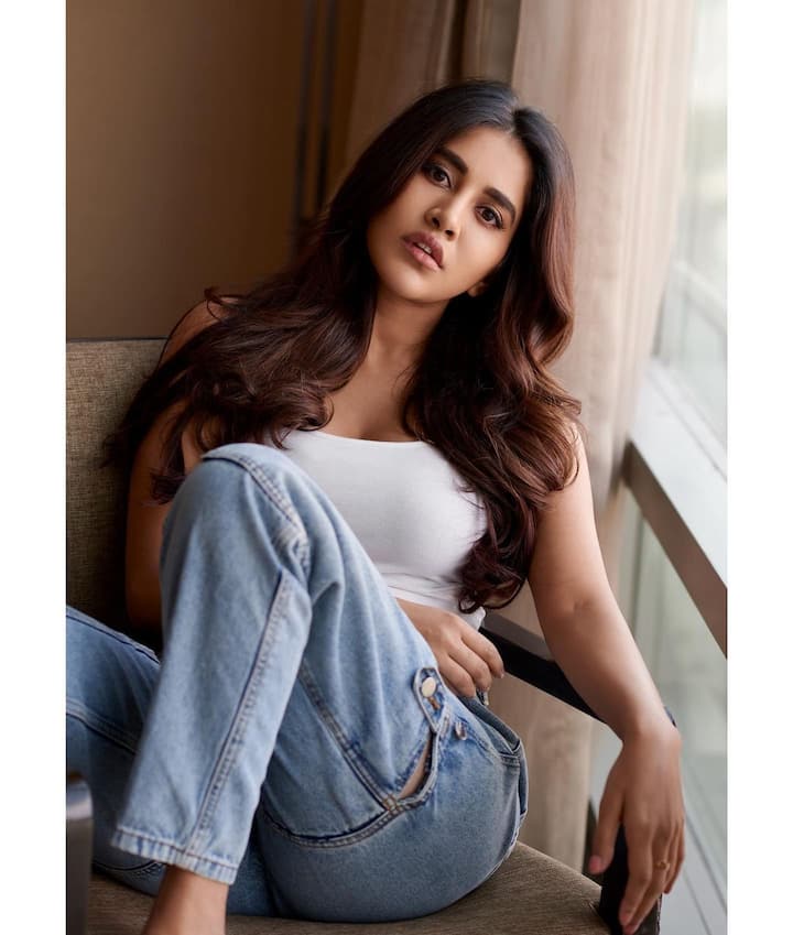 నభా నటేష్ క్యూట్ పిక్స్ -Image Credit: Nabha Natesh/Instagram