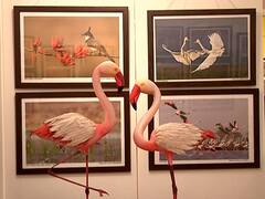 In Pics : दुर्मीळ पक्ष्यांच्या छायाचित्रांचं प्रदर्शन, 100 छायाचित्रकारांनी टिपलेले फोटो