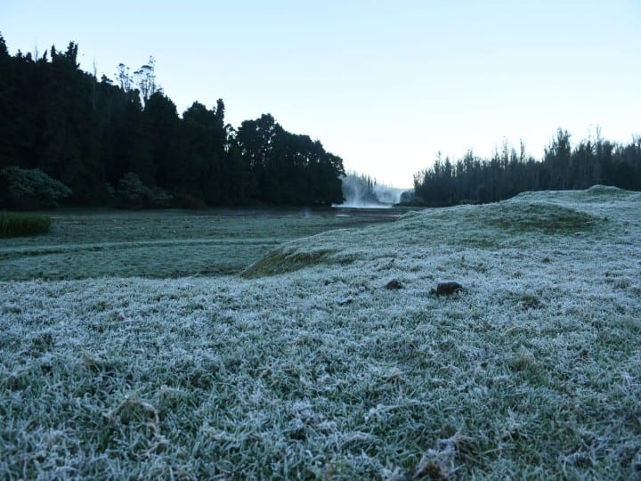 Impact on the normal life of the people due to frozen ice in Ooty காஷ்மீராக மாறிய ஊட்டி: உறைய வைக்கும் உறைபனியால் இயல்பு வாழ்க்கை பாதிப்பு