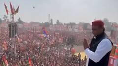 SP के Vijay Rath पर भतीजे के साथ सवार हो सकते हैं चाचा Shivpal Yadav| Hindi News