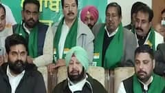 Golden Temple Sacrilege: Capt Amarinder Singh questions law and order in Punjab