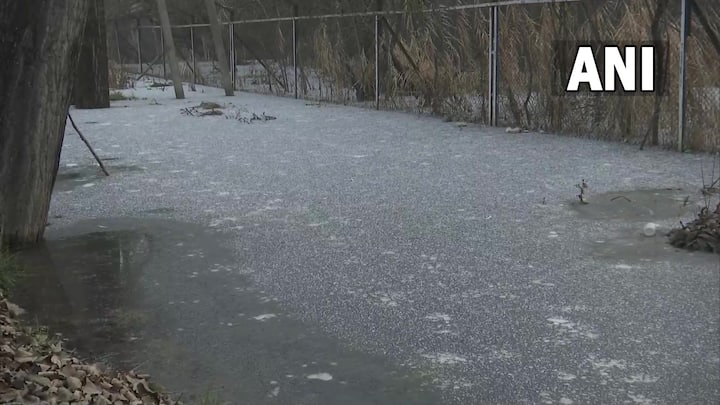 ‘चिलाई-कालान’ के दौरान बर्फबारी होने की संभावना ज्यादा बनी रहती है. वहीं जिले की डल लेक के साथ-साथ जल निकाय इस मौसम ने जमे हुए नजर आते हैं.