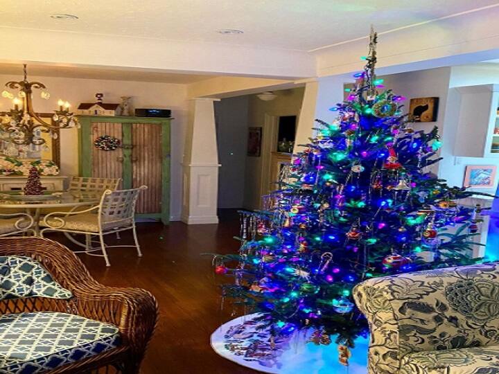 Merry Christmas 2021 keep these things in mind when you Buy Real Christmas Tree Christmas 2021: क्रिसमस ट्री खरीदने से पहले इन बातों का रखें खास ख्याल, त्योहार की खुशियां हो जाएगी दोगुनी