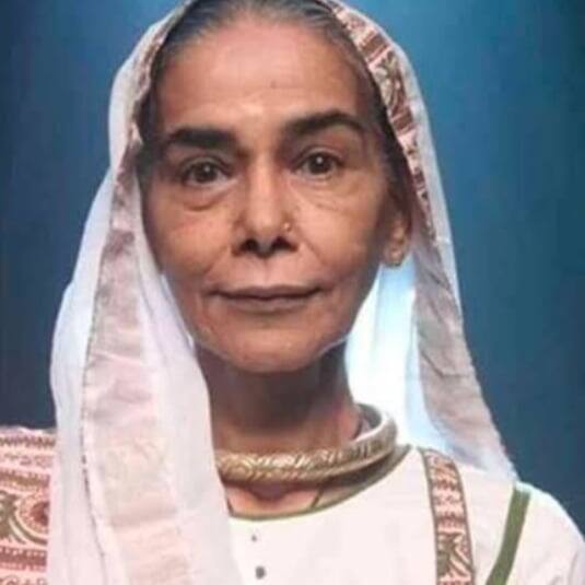 'बालिका वधू' (Balika Vadhu) और फिल्म 'बधाई हो' (Badhaai Ho) में दिखाई दी एक्ट्रेस सुरेखा सीकरी ने भी इस साल दुनिया को अलविदा कह दिया. 16 जुलाई को हार्ट अटैक की वजह से उनका निधन हो गया.