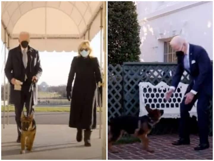Presiden AS Joe Biden Menyambut Anjing Gembala Jerman ke Gedung Putih