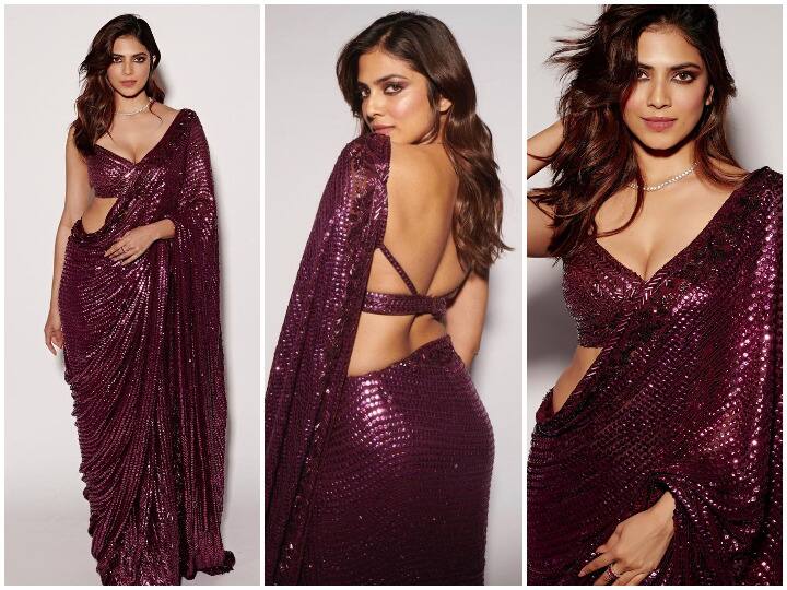 Malavika Mohnan Photos: अभिनेत्री मालविका मोहन की कुछ लेटेस्ट तस्वीरें सोशल मीडिया पर काफी तेजी से वायरल हो रही हैं.