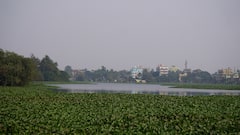 Santragachi Migratory Birds: সাঁতরাগাছি ঝিলে এবারও পরিযায়ী পাখির সংখ্যা কম, উদ্বিগ্ন পরিবেশপ্রেমীরা