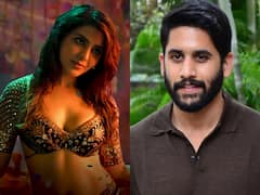 Samantha पर Troll ने लगाया पति से 50 करोड़ रुपये लूटने का भी आरोप, एक्ट्रेस मे दिया ऐसा मुंहतोड़ जवाब कि हो गई बोलती बंद