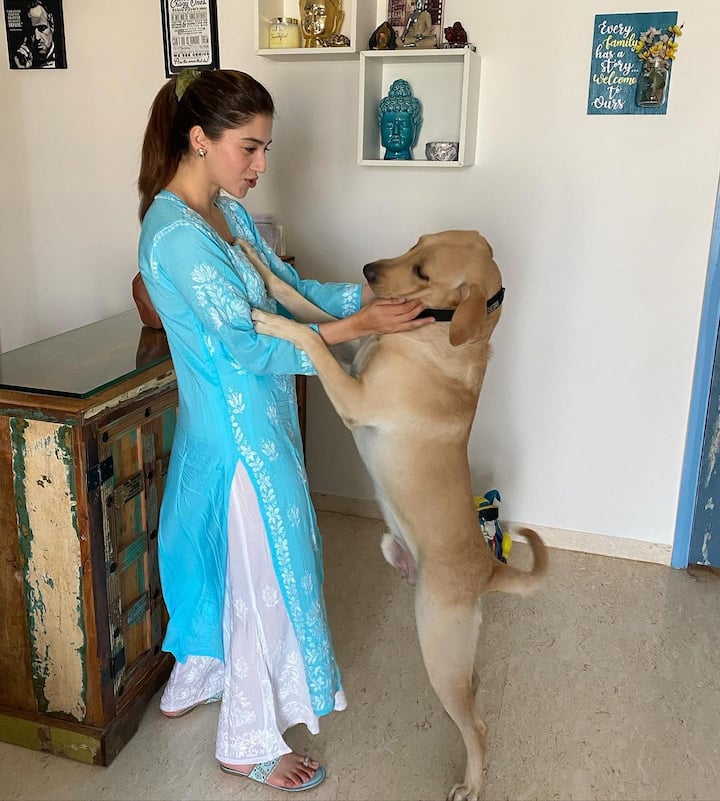 మెహ్రీన్ పిర్జాదా ఫోటోలు - Image Credit: Mehreen Pirzada/ Instagram