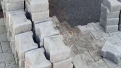 ભાવનગરઃ ભાજપના કોર્પોરેટર વચ્ચે ઝઘડો, મામલો પહોંચ્યો પોલીસ સ્ટેશન સુધી