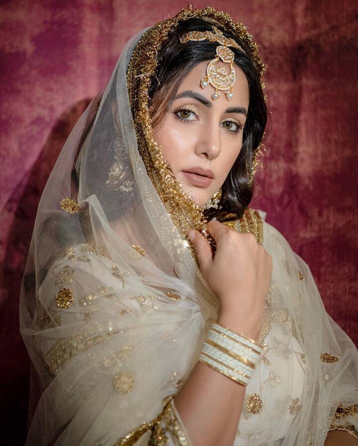 त्यानंतर बिग बॉस 10 आणि कसोटी जिंदगी की या मालिकेमध्येही ती झळकली. (सौजन्य : हिना खान इंस्टाग्राम)
