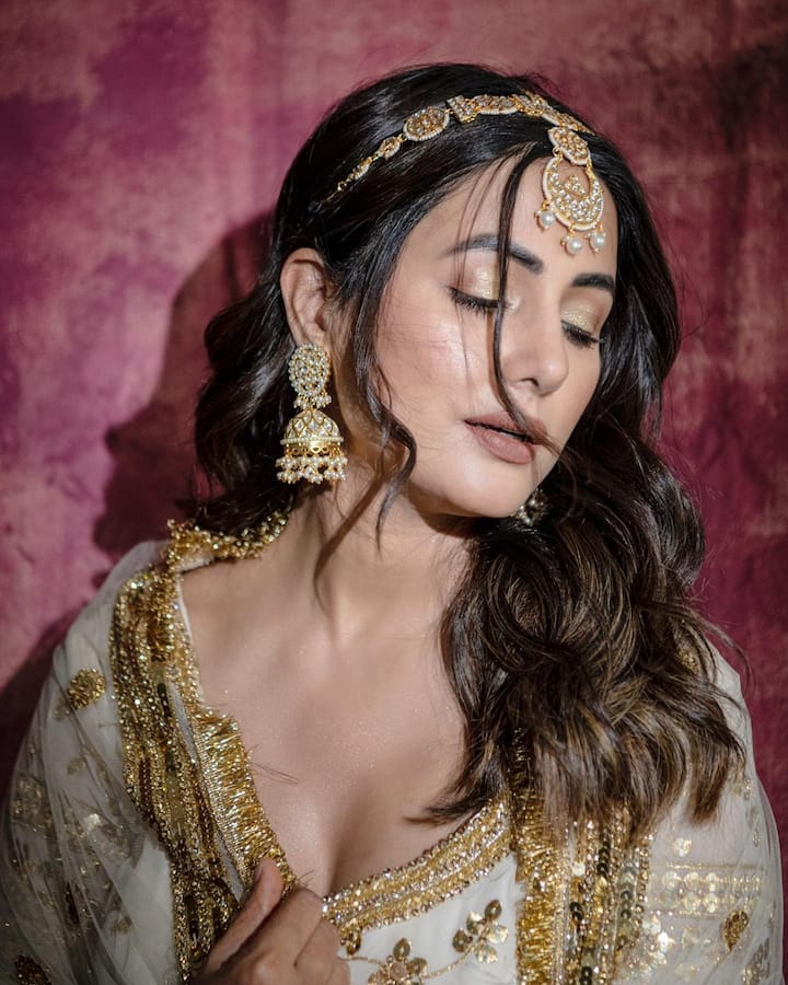 या फोटोमध्ये ती रॉय लूकमध्ये सुंदर दिसत आहे. (सौजन्य : हिना खान इंस्टाग्राम)