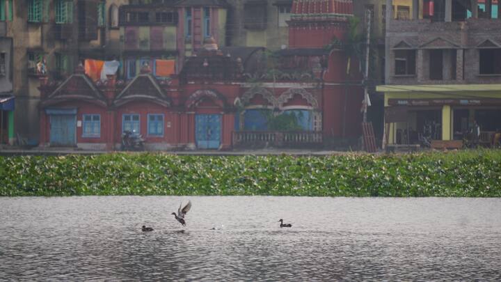 স্থানীয়রা চাইছেন, রেল ও হাওড়া পুরসভা যৌথভাবে সাঁতরাগাছি ঝিলের উন্নতি করার বিষয়ে উদ্যোগ নিক।