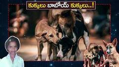 ఏడు గంటల తర్వాత ఇంట్లో నుంచి రావాలంటే భయపడుతున్న సిక్కోలు జిల్లా వాసులు