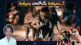 ఏడు గంటల తర్వాత ఇంట్లో నుంచి రావాలంటే భయపడుతున్న సిక్కోలు జిల్లా వాసులు