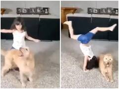 Watch: नन्ही बच्ची ने पालतू डॉगी के साथ दिखाया कमाल का स्टंट, इनके कारनामे देख हो जाएंगे लोटपोट