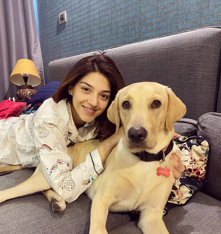 ఆ కుక్కను చూస్తే వెనుక నుంచి పెద్ద పులినో, పెద్ద సింహాన్నో చూసినట్టు ఉంది - Image Credit: Mehreen Pirzada/ Instagram