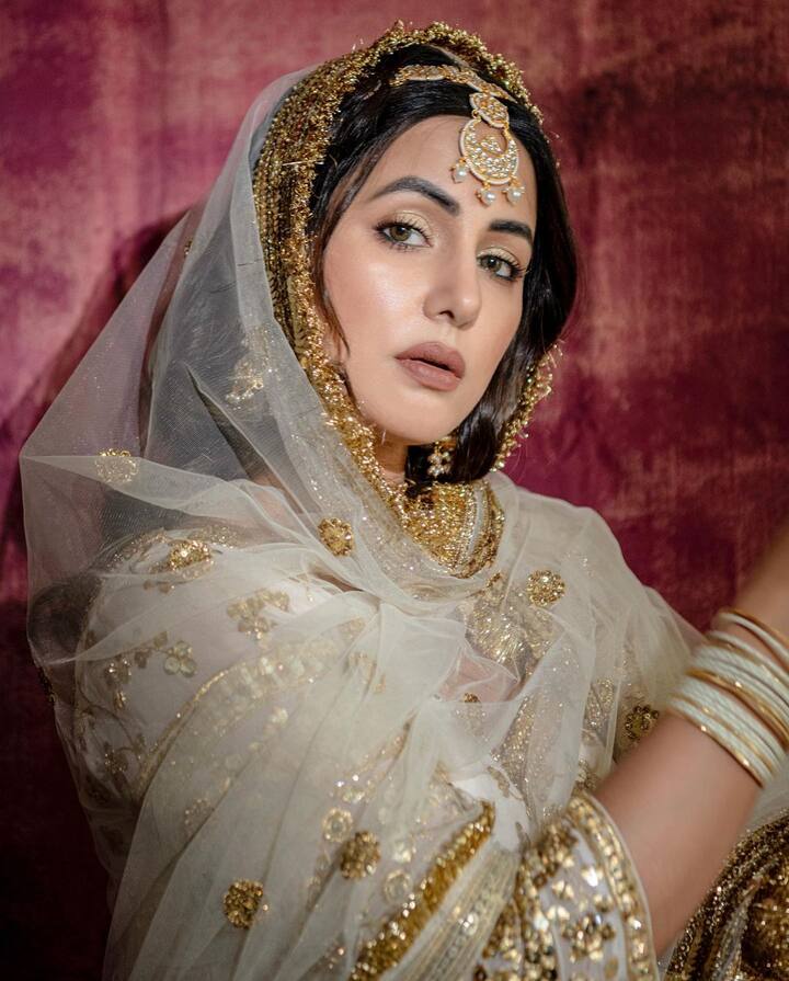 अभिनेत्री हिना खान (Hina Khan) सोशल मीडियावर प्रचंड सक्रिय असते.(सौजन्य : हिना खान इंस्टाग्राम)