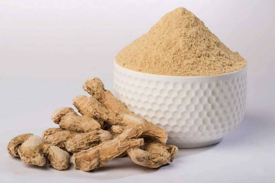 Benefits of dry ginger sonth in winter season Health Benefits: સૂંઠના છે અનેક ફાયદા, સેવન કરવાની રીત સમજી લો, આ રોગમાં છે રામબાણ ઇલાજ