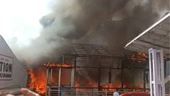 Jammu: কাটরায় বৈষ্ণোদেবী মন্দিরে যাওয়ার রাস্তায় জঙ্গলে আগুন, 'যাত্রায় প্রভাব পড়েনি', জানাল মন্দির কর্তৃপক্ষ | Bangla News