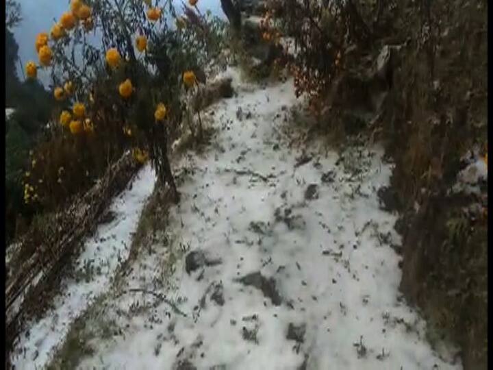 বুধবার বিকেল হতে না হতেই ফুলে ঢাকা পাহাড়ে ঝিরঝিরে বৃষ্টির সঙ্গে ঝরল তুষার। পিচের রাস্তা ঢাকল সাদা চাদরে। সাদার মধ্যে জেগে রইল হলুদ ফুল।